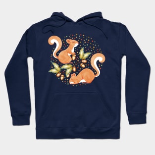 Acorn Foraging Red Squirrels Hoodie